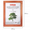 Рамка 15х20 см, дерево, багет 18 мм, BRAUBERG "Pinewood", красное дерево, стекло, подставка, 391217 - 6
