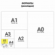 Тетрадь А5 48 л. АЛЬТ скоба, клетка, глянцевый лак, "Кошки. Яркий взгляд" (5 видов), 7-48-1019 - 4