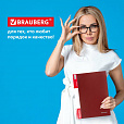 Папка 40 вкладышей BRAUBERG стандарт, красная, 0,7 мм, 221602 - 14