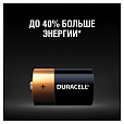 Батарейки КОМПЛЕКТ 2 шт., DURACELL Basic ОРИГИНАЛ, С (LR14, 14А), алкалиновые, блистер - 2