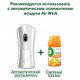 Сменный баллон 250 мл, AIRWICK "Анти-табак. Апельсин/бергамот", для автоматических освежителей, универсальный, 224392 - 6