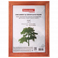 Рамка 15х20 см, дерево, багет 18 мм, BRAUBERG "Pinewood", красное дерево, стекло, подставка, 391217 - 4