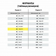 Тетрадь А5 48 л. АЛЬТ скоба, клетка, глянцевый лак, "Кошки. Яркий взгляд" (5 видов), 7-48-1019 - 5