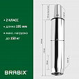 Газлифт BRABIX A-100 короткий, ХРОМ, длина в открытом виде 346 мм, d50 мм, класс 2, 532004 - 8