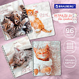Тетрадь А5, 96 л., BRAUBERG, гребень, клетка, обложка картон, "Котики" (микс в спайке), 404425 - 9
