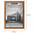 Рамка 21х30 см, дерево, багет 20 мм, BRAUBERG "Business", светлое дерево, акриловый экран, 391291 - 5