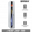 Шкаф металлический для одежды BRABIX "LK 11-30", УСИЛЕННЫЙ, 1 секция, 1830х300х500 мм,18 кг, 291127, S230BR401102 - 1