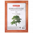 Рамка 15х20 см, дерево, багет 18 мм, BRAUBERG "Pinewood", красное дерево, стекло, подставка, 391217 - 1