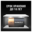 Батарейки КОМПЛЕКТ 2 шт., DURACELL Basic ОРИГИНАЛ, С (LR14, 14А), алкалиновые, блистер - 4