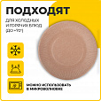 Тарелка одноразовая крафт бумажная 180 мм, КОМПЛЕКТ 100 штук, LAIMA ECO CRAFT, 608087 - 6