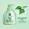 Мыло жидкое 520 мл, ЧИСТАЯ ЛИНИЯ "Березовое", дозатор, для всей семьи - 4