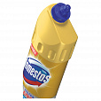 Средство для уборки туалета 1 л, DOMESTOS (Доместос) "Ультра Блеск", гель, 67068933 - 3